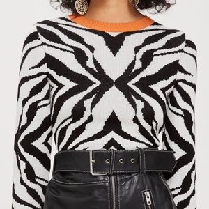 Topshop Zebra Print Sweater